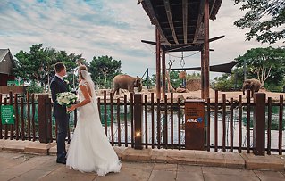 Image 2 - Taronga Zoo in Destination Weddings.