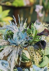 Image 9 - Boho Succulent Dream! in Styled Shoots.