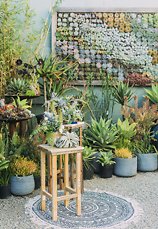 Image 2 - Boho Succulent Dream! in Styled Shoots.