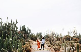 Image 6 - Cactus Country Lovers (Sophie + Benny pt. 1) in Engagement.