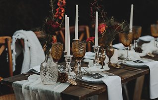 Image 5 - New Zealand Wild Winter Banquet in Styled Shoots.