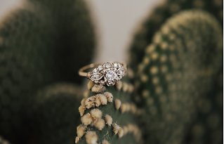 Image 1 - Emotional Joshua Tree Elopement with Boho Styling in Real Weddings.