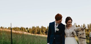 Image 5 - An Alpaca Farm Styled Elopement in Styled Shoots.