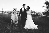 Image 7 - An Alpaca Farm Styled Elopement in Styled Shoots.