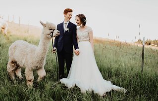 Image 4 - An Alpaca Farm Styled Elopement in Styled Shoots.