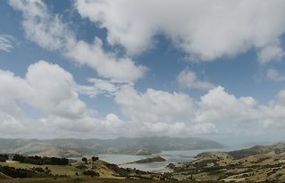Image 6 - A Simple New Zealand Wedding With the Most Breathtaking Views in Real Weddings.