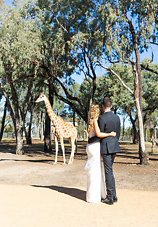Image 4 - Classic + Timeless Wedding Inspiration at Taronga Zoo in Styled Shoots.